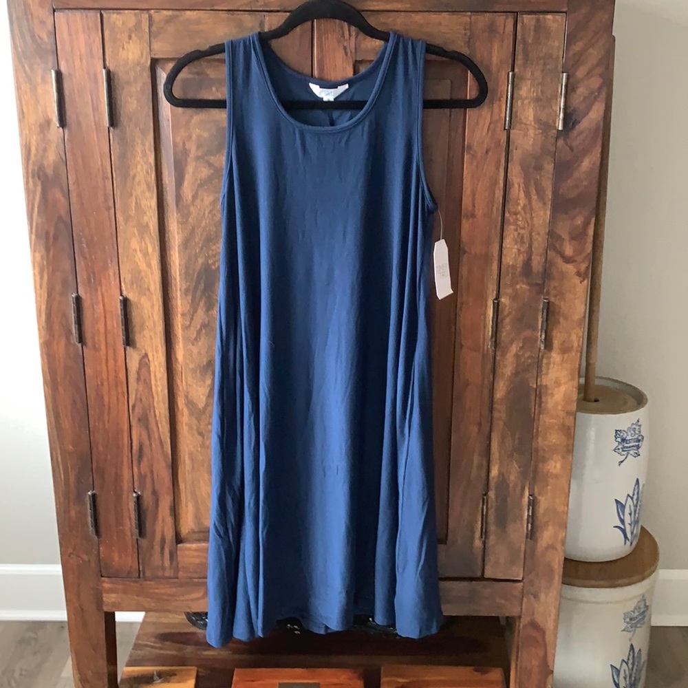 Time and True sleeveless A-line dress M Blue Tank
